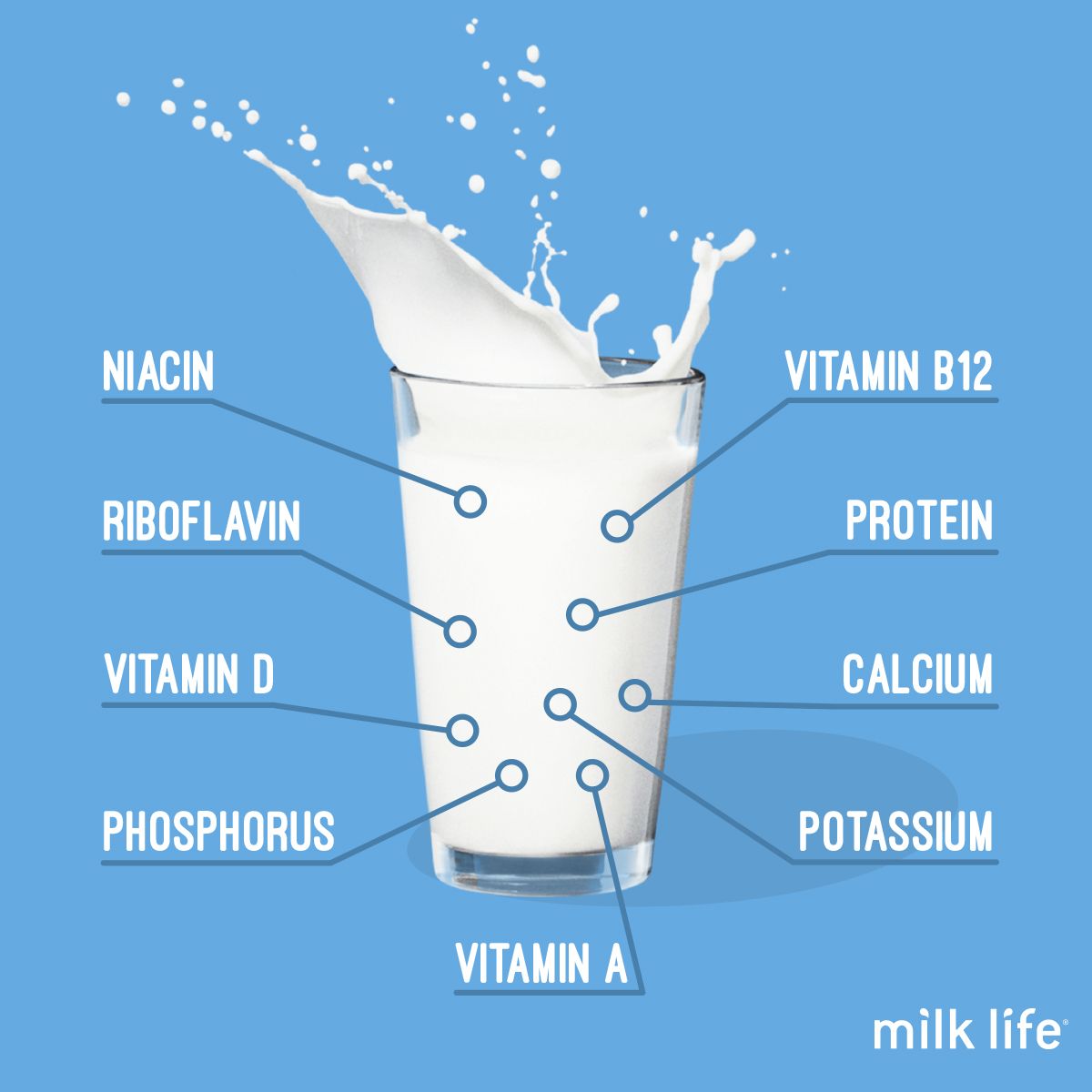 Exploring the potential of milk molecules: Unlocking new opportunities ...