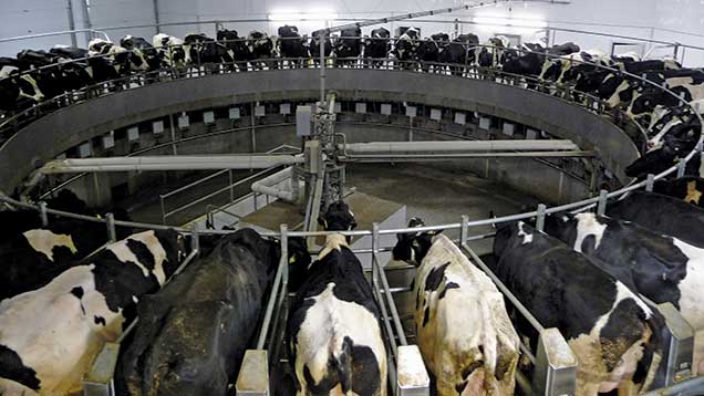 Canada-rotary-parlour