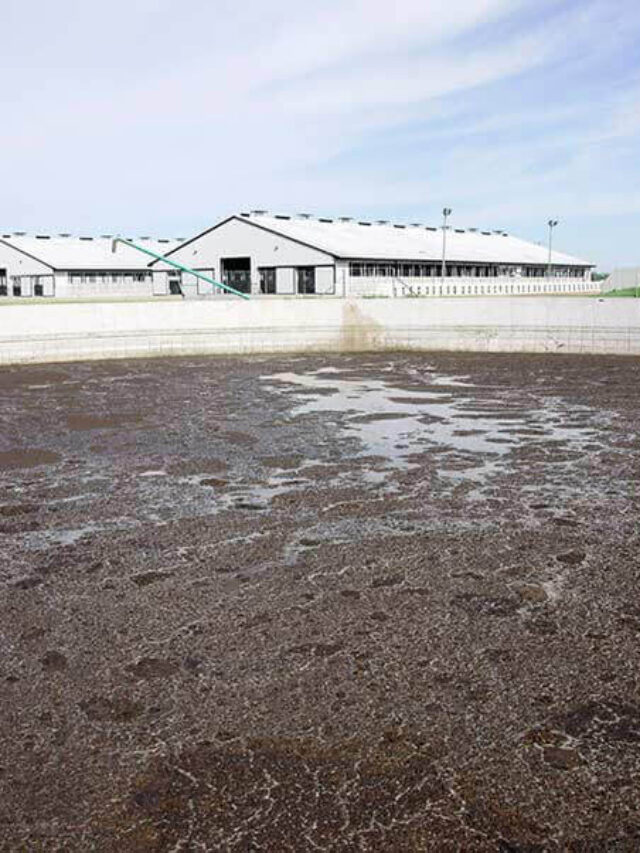 Wisconsin Settles Manure Pollution. - dairyqueenus.com